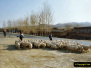 1999 October China Number 4