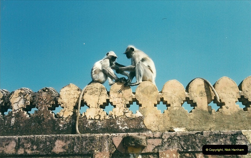 India-February-2000-94094