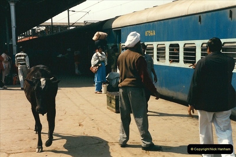 India-February-2000-340