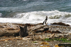 248.2002-2003-South-America-Falkland-Islands.-248-Punta-Arenas-Chile.-