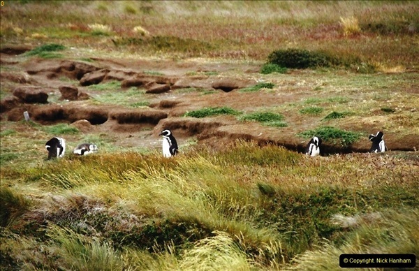 South-America-The-Falkland-Islands.-2002-2003-93093