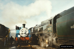 1_2872003-02-24-Thomas-week-diving-33012-1287