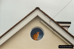 1_4412003-12-13-Santa-Specials-driving-the-Dining-train-with-80104.-1441