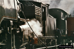 1_5882004-09-11-SR-Steam-Gala-with-your-Host-driving-80104.-7588