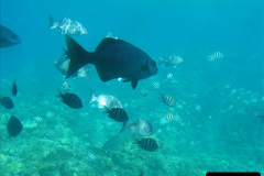 070.2005-11-10-to-24-Panama-Canal-Transit-East-to-West.-70-Grand-Cayman.-