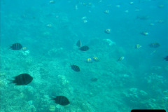 079.2005-11-10-to-24-Panama-Canal-Transit-East-to-West.-79-Grand-Cayman.-