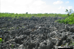 094.2005-11-10-to-24-Panama-Canal-Transit-East-to-West.-94-Grand-Cayman.-