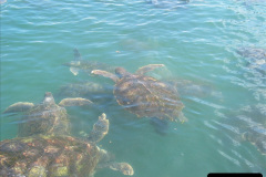 105.2005-11-10-to-24-Panama-Canal-Transit-East-to-West.-105-Grand-Cayman.-