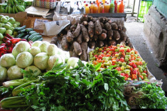 242.2005-11-10-to-24-Panama-Canal-Transit-East-to-West.-242-Puerto-Limo-Costa-Rica.-