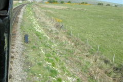 14102009-04-20-Driving-80078.-351410