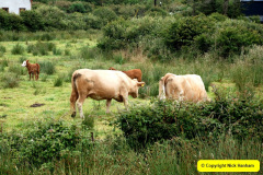 114.2008-07-13-to-19-Southern-Eire-Coach-Tour-of-Narrow-Gauge-Railways.-114-