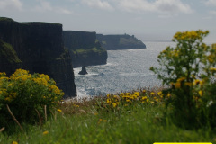 163.2008-07-13-to-19-Southern-Eire-Coach-Tour-of-Narrow-Gauge-Railways.-163-