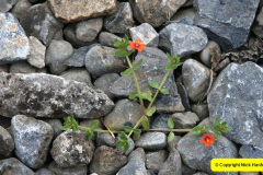 434.2008-07-13-to-19-Southern-Eire-Coach-Tour-of-Narrow-Gauge-Railways.-434-