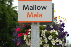 044.2008-07-13-to-19-Southern-Eire-Railways.-44-