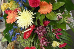 009.2008-06-18-Salisbury-Cathedral-Flower-Show.-9-