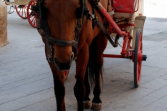 185.2008-05-03-to-17-Ocean-Majasty-Cruise.-Baleric-Islands-Spain-Portugal.-185-Granada.-