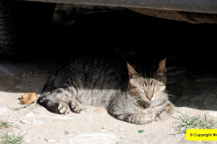 033.2008-09-15-to-10-01-Boudica-Med.-Cruise.-33-Tangier-Morocco.-