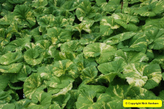 038.2009-04-27-ARM-Visits-Cornwall.-38-