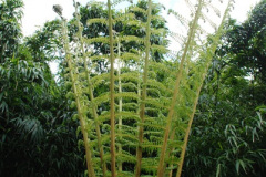 039.2009-04-27-ARM-Visits-Cornwall.-39-