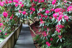 051.2009-04-27-ARM-Visits-Cornwall.-51-