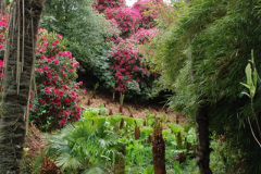 056.2009-04-27-ARM-Visits-Cornwall.-56-