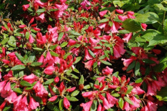 089.2009-04-27-ARM-Visits-Cornwall.-89-