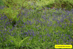 094.2009-04-27-ARM-Visits-Cornwall.-94-