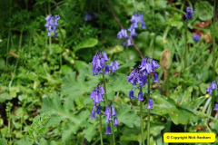 095.2009-04-27-ARM-Visits-Cornwall.-95-