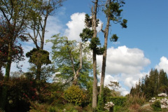 134.2009-04-27-ARM-Visits-Cornwall.-134-