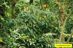 215.2009-04-27-ARM-Visits-Cornwall.-215-