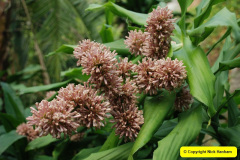 216.2009-04-27-ARM-Visits-Cornwall.-216-