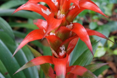 219.2009-04-27-ARM-Visits-Cornwall.-219-