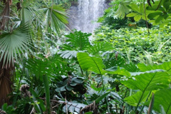 243.2009-04-27-ARM-Visits-Cornwall.-243-