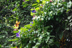 264.2009-04-27-ARM-Visits-Cornwall.-264-