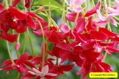 268.2009-04-27-ARM-Visits-Cornwall.-268-