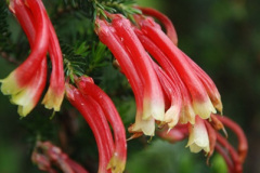 285.2009-04-27-ARM-Visits-Cornwall.-285-