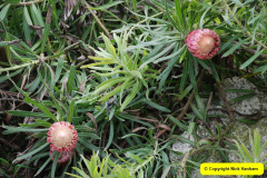 287.2009-04-27-ARM-Visits-Cornwall.-287-