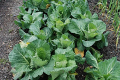 324.2009-04-27-ARM-Visits-Cornwall.-324-