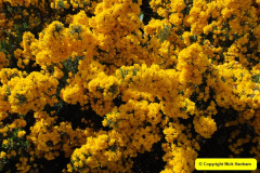 368.2009-04-27-ARM-Visits-Cornwall.-368-