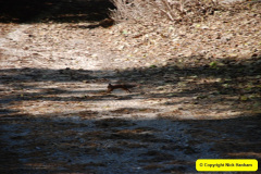 028.2009-10-08-ARM-Visits-Brownsea-Island-Poole-Harbour-Dorset.-28-