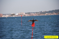 062.2009-10-08-ARM-Visits-Brownsea-Island-Poole-Harbour-Dorset.-62-