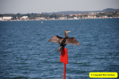 063.2009-10-08-ARM-Visits-Brownsea-Island-Poole-Harbour-Dorset.-63-