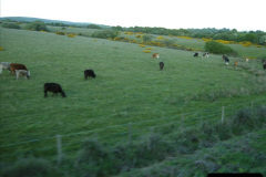 02412009-05-15-Driving-the-late-turn-DMU.-100241