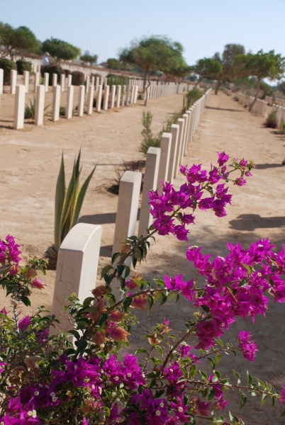 2010-11-05-British-Graves-at-El-Alamain-16