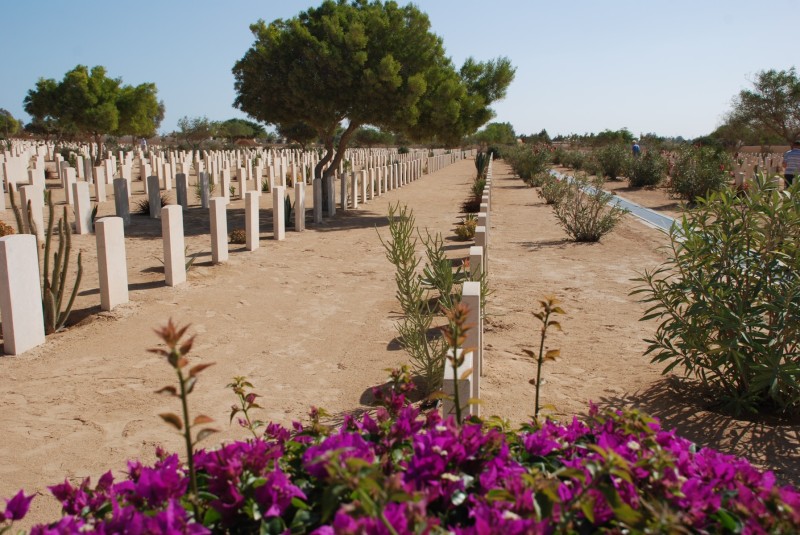 2010-11-05-British-Graves-at-El-Alamain-18