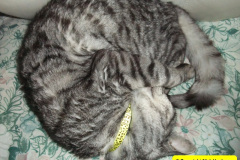 047.2010-07-07-CLEO-CLEO-CLEO.-47-