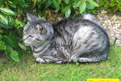 125.2010-07-07-CLEO-CLEO-CLEO.-125-
