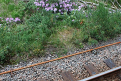 090.2012-05-30-The-Jacobite-Glenfinnan-Oban.-90-