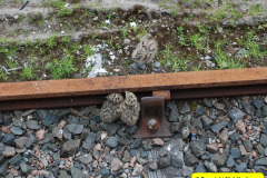 178.2012-05-30-The-Jacobite-Glenfinnan-Oban.-178-