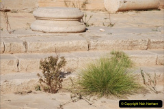 152.2010-11-01-Eastern-Med-N.-Africa.-Leptus-Magna-Al-Khums-Libya.-152-